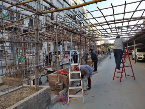河北保定蓮池區(qū)罐頭廠新宿舍環(huán)境大整改行動(dòng)見(jiàn)成效 環(huán)境衛(wèi)生與公共設(shè)施安裝服務(wù)雙提升